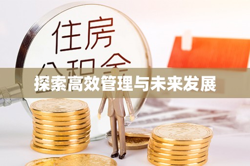 宁晋探索高效管理与未来发展