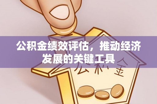 宁晋公积金绩效评估，推动经济发展的关键工具