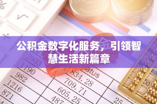 宁晋公积金数字化服务，引领智慧生活新篇章