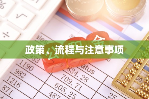 宁晋政策、流程与注意事项