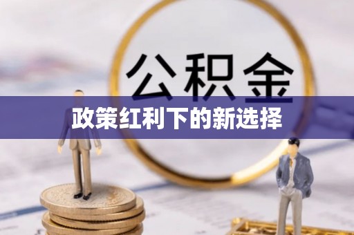 宁晋政策红利下的新选择