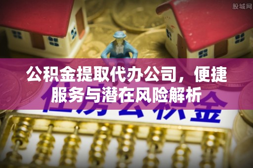 宁晋公积金提取代办公司，便捷服务与潜在风险解析