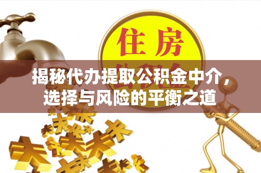 宁晋揭秘代办提取公积金中介，选择与风险的平衡之道