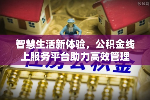 宁晋智慧生活新体验，公积金线上服务平台助力高效管理
