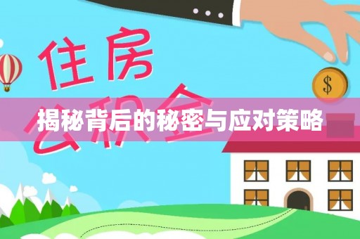 宁晋揭秘背后的秘密与应对策略