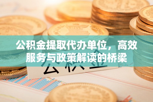 宁晋公积金提取代办单位，高效服务与政策解读的桥梁