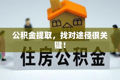 宁晋公积金提取，找对途径很关键！