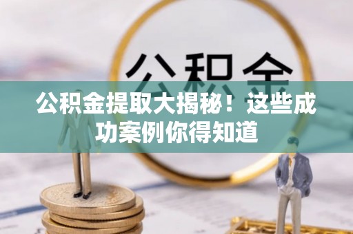 宁晋公积金提取大揭秘！这些成功案例你得知道