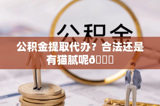 宁晋公积金提取代办？合法还是有猫腻呢😏