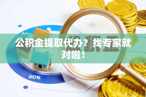 宁晋公积金提取代办？找专家就对啦！