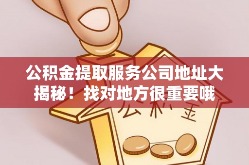 宁晋公积金提取服务公司地址大揭秘！找对地方很重要哦