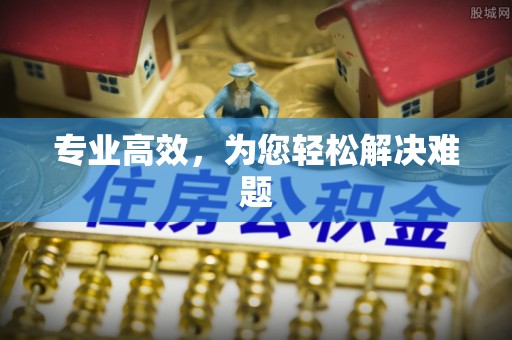宁晋专业高效，为您轻松解决难题
