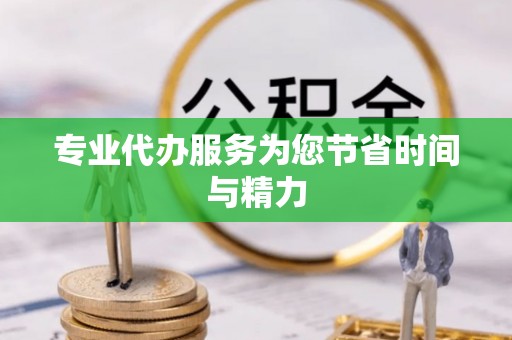 宁晋专业代办服务为您节省时间与精力