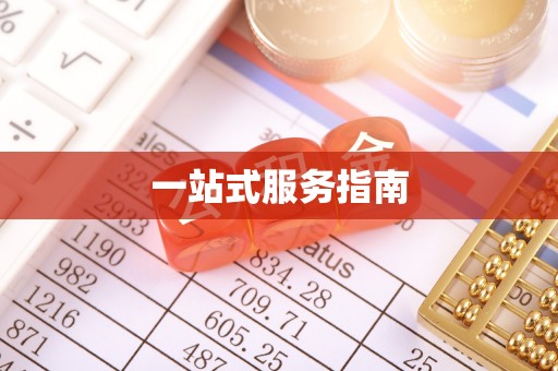 宁晋一站式服务指南