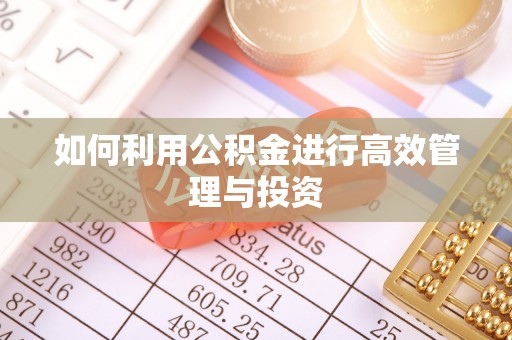 宁晋如何利用公积金进行高效管理与投资