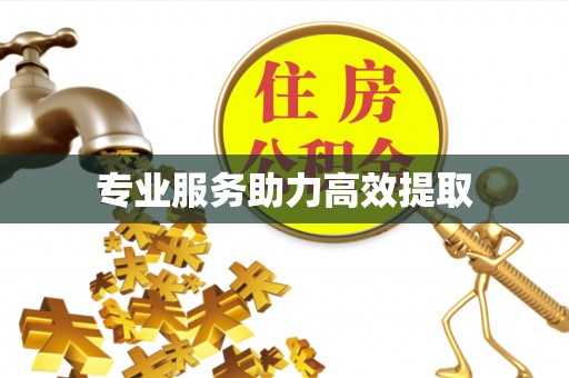 宁晋专业服务助力高效提取