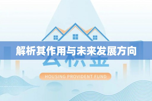 宁晋解析其作用与未来发展方向