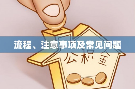 宁晋流程、注意事项及常见问题