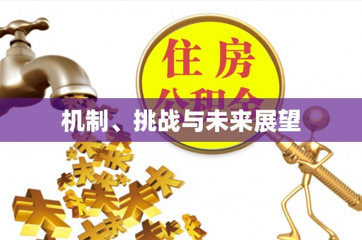 宁晋机制、挑战与未来展望