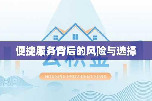 宁晋便捷服务背后的风险与选择