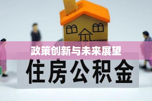 宁晋政策创新与未来展望