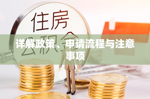 宁晋详解政策、申请流程与注意事项