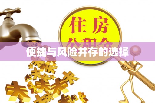 宁晋便捷与风险并存的选择