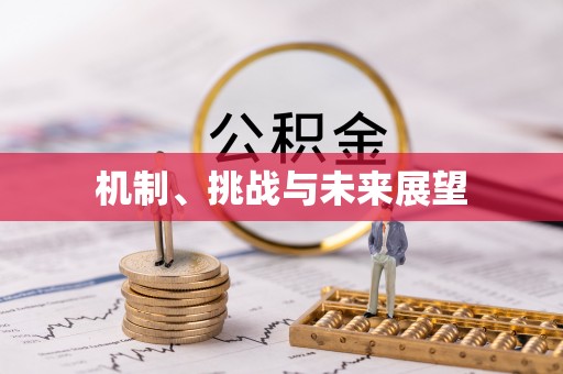 宁晋机制、挑战与未来展望