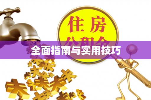 宁晋全面指南与实用技巧