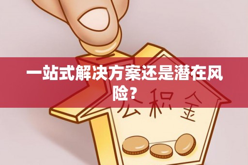宁晋一站式解决方案还是潜在风险？