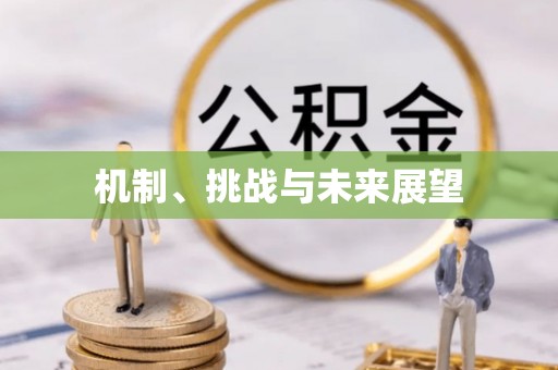 宁晋机制、挑战与未来展望